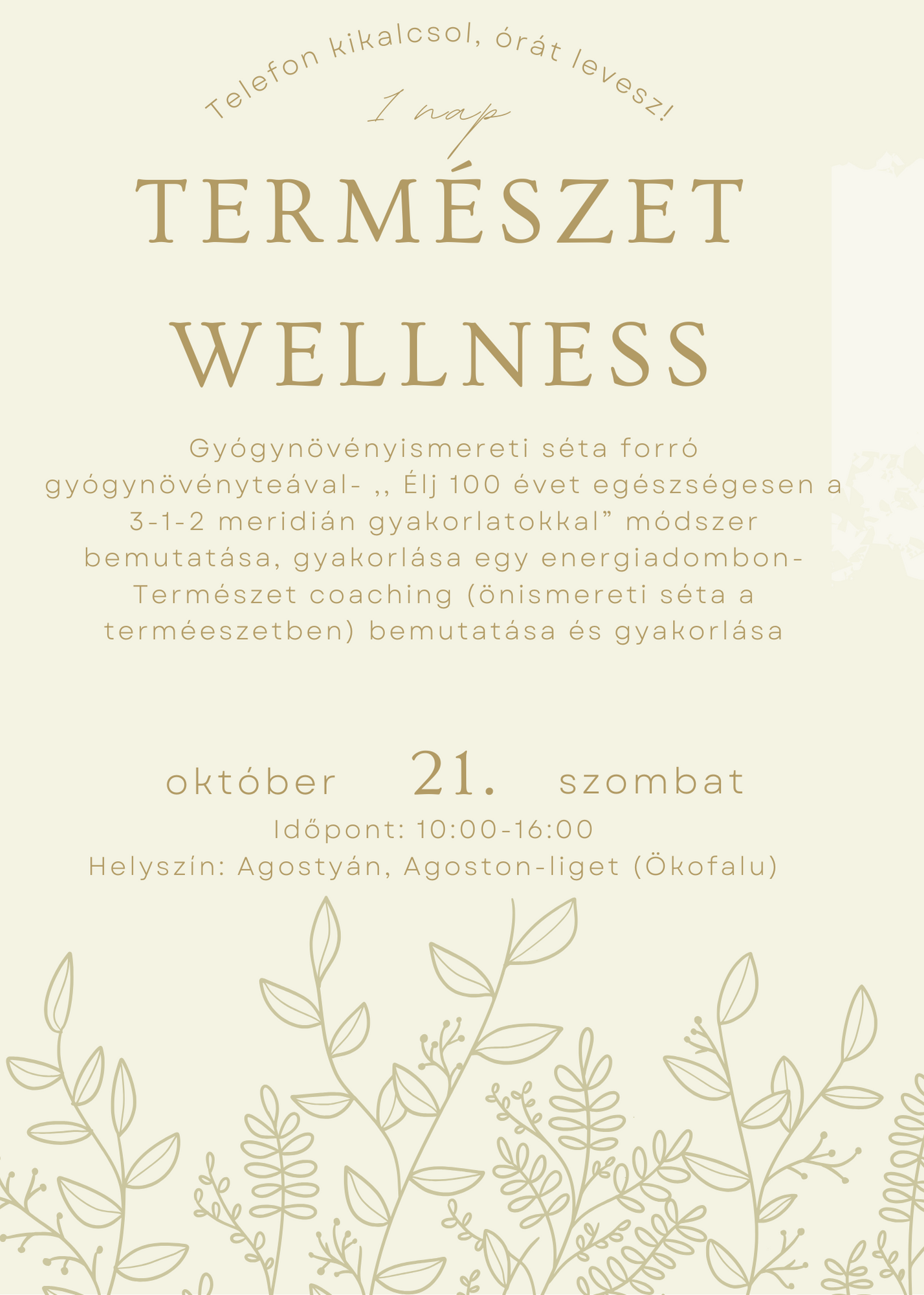 termeszet wellness 2